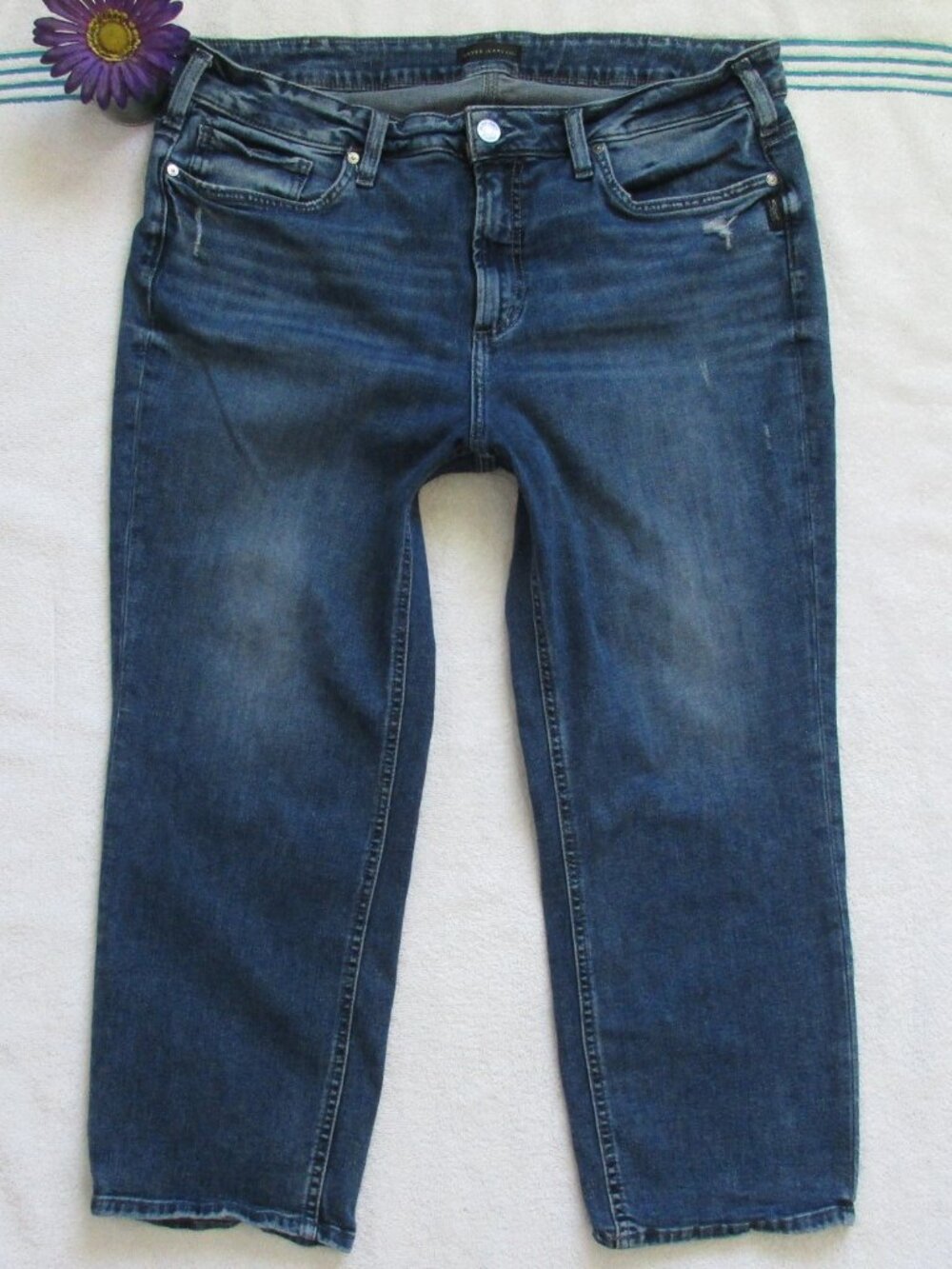 SILVER Jeans Size 18W Suki Capri Denim